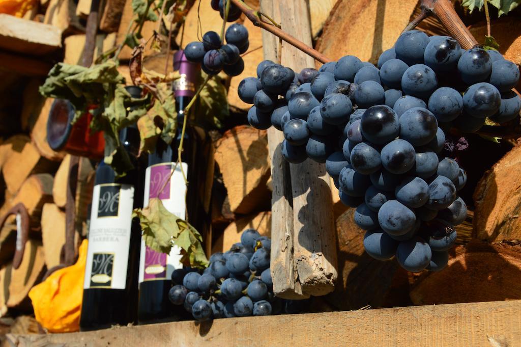 Agriturismo Il Nido Di Bacco Villa Saluzzo Ngoại thất bức ảnh